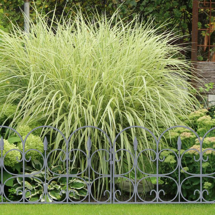 Actual product image Relaxdays 6x bed fence (1.50 cm)
