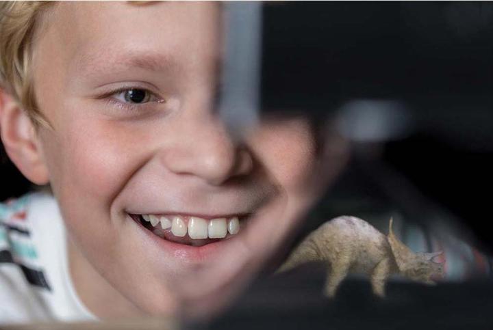 Immagine prodotto 4M Proiettore per ologrammi KidzLabs