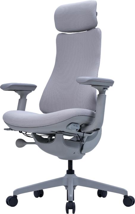 Actual product image LiberNovo Omni Dynamic (48 cm)