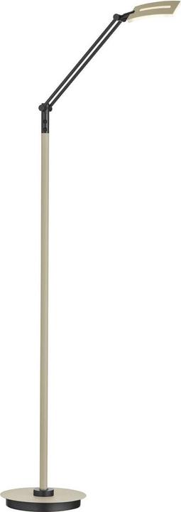Hell Evolo LED Lampadaire à intensité variable 146cm CCT Taupe 60538/1-12