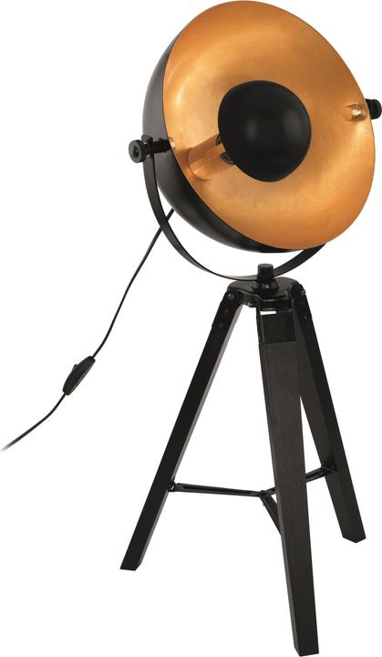 Image du produit EGLO Covaleda (E27)