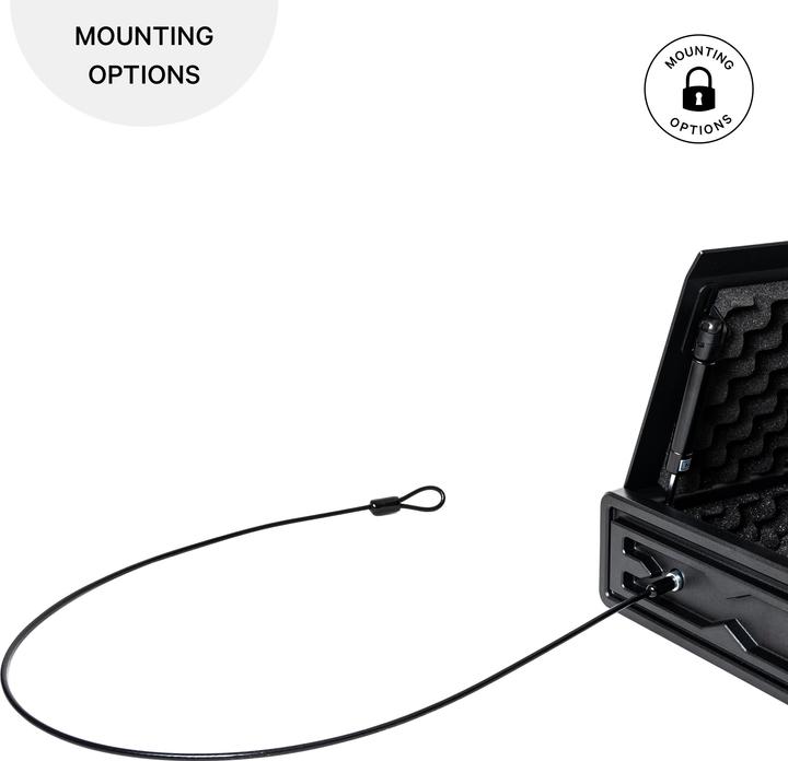 Immagine prodotto Paladin Cassaforte biomeccanica per le macchine digitali