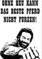 Produktbild Puag Blechschild Pferd/Faust (20 x 30 cm)