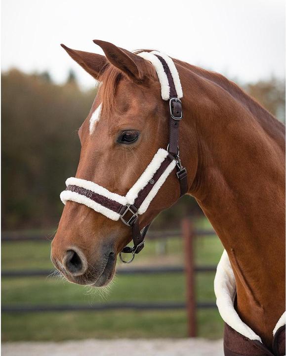 Actual product image Qhp Halter Set Julin