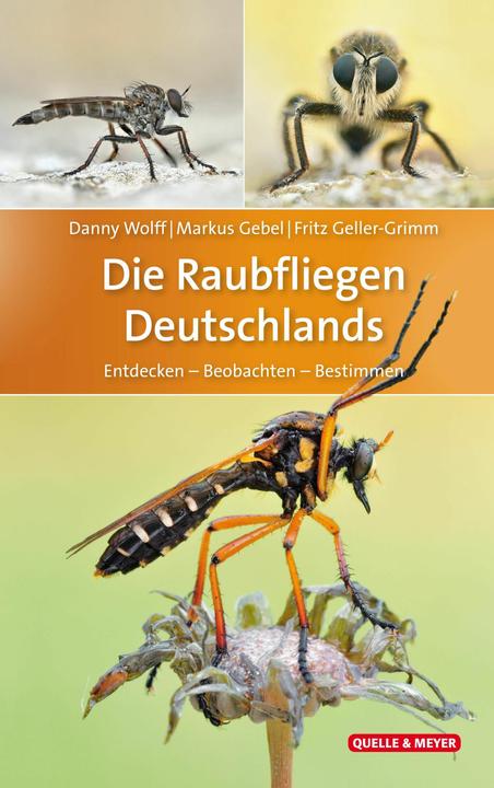 Produktbild Die Raubfliegen Deutschlands (Deutsch, Danny Wolff, Fritz Geller-Grimm, Markus Gebel, 2018)