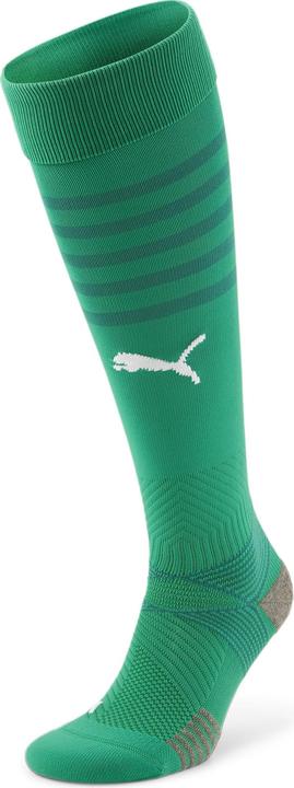 Puma teamFINAL Socks