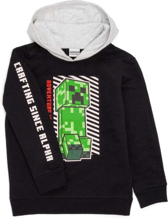Image du produit Minecraft Sweat à capuche garçon (152, 158)