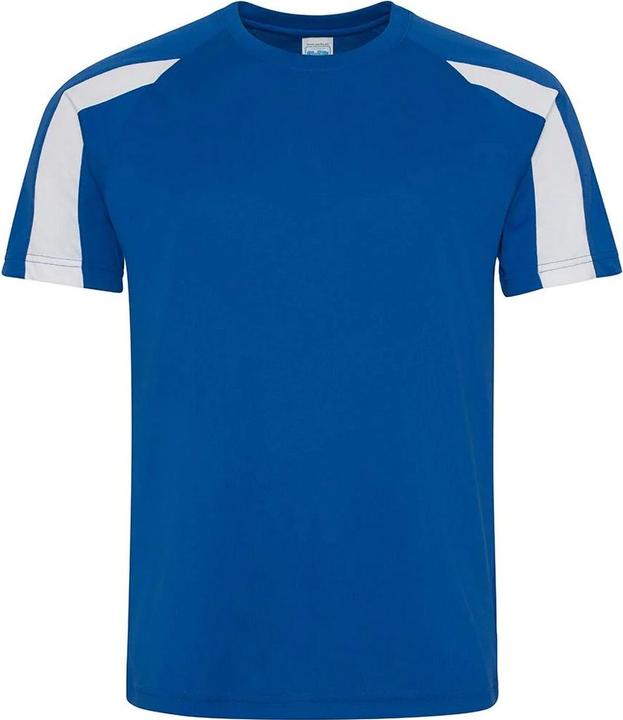 Blu reale, Bianco artico