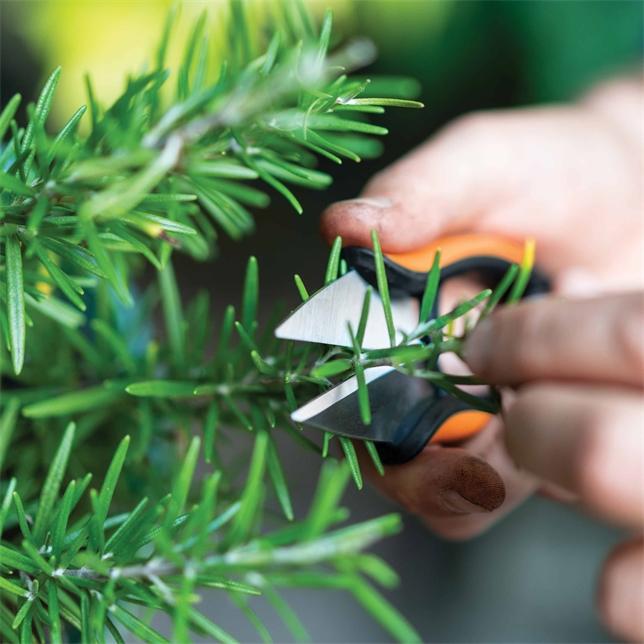 Produktbild Fiskars Kräuterschere
