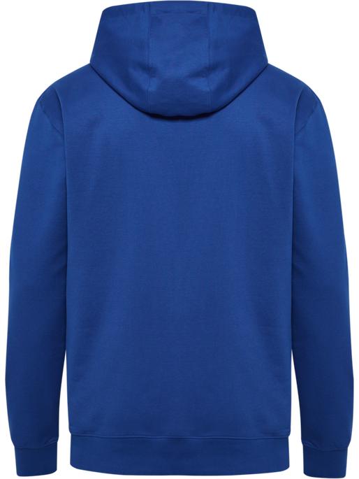 Actual product image hummel HMLGO 2.0 HOODIE (M)