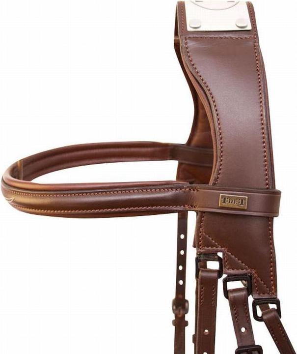 Actual product image TdeT Raphaël