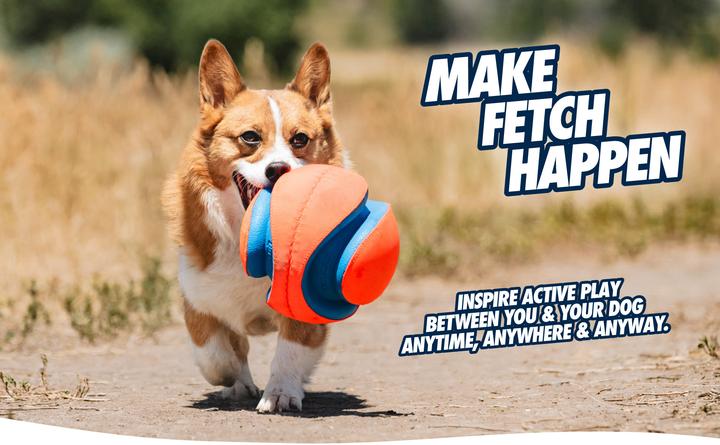 Actual product image Chuckit! Kick Fetch (Litter toy dog)
