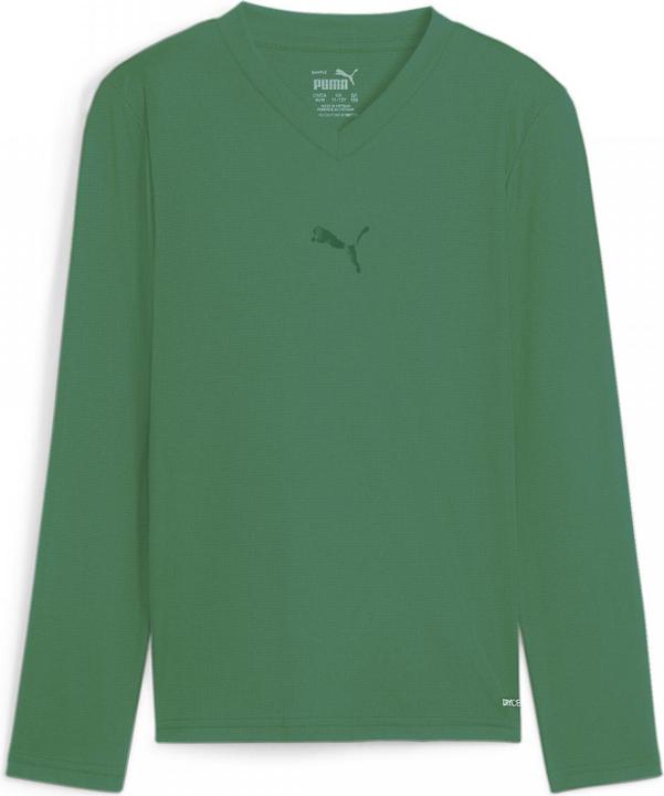 Actual product image Puma teamGOAL Baselayer Tee LS Jr. (128)
