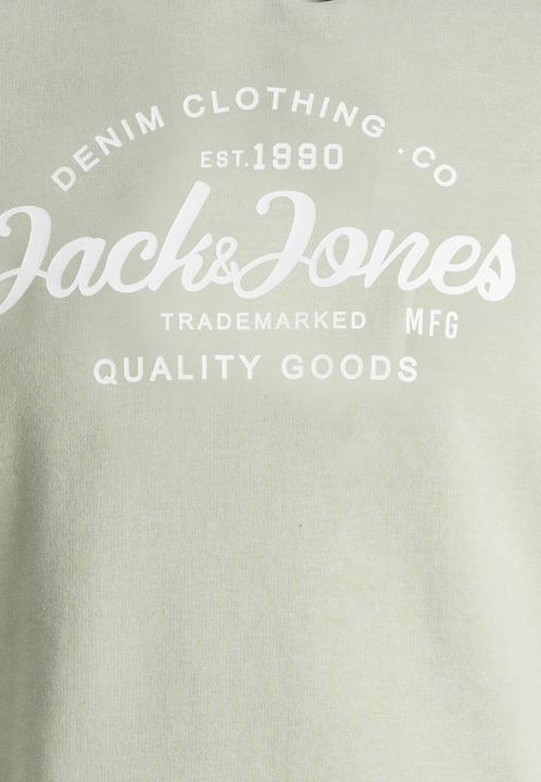 Produktbild Jack & Jones Jjforest Sweat Hood Jnr (140)