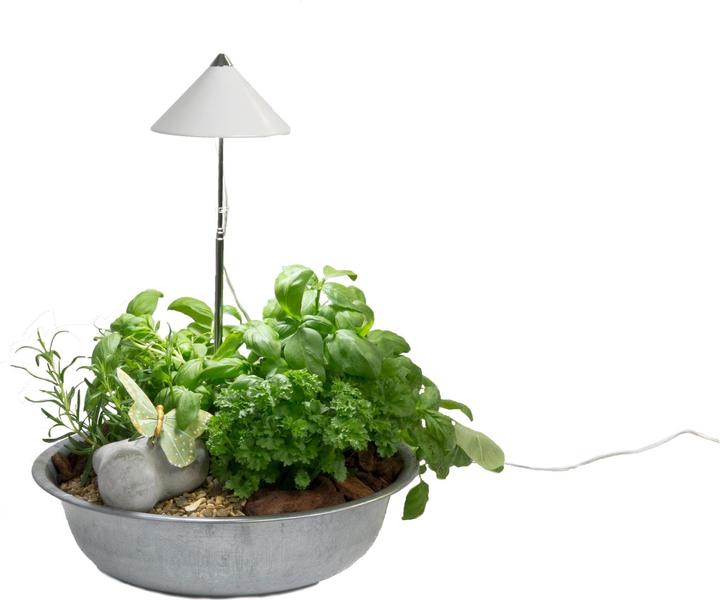Colibri SUNLiTE weiss (LED, 230 V)