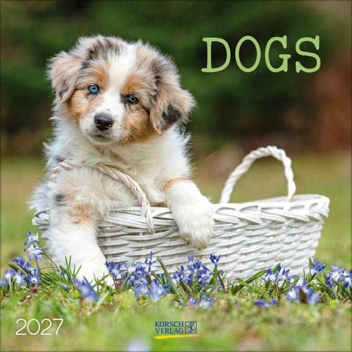 Produktbild Dogs 2027