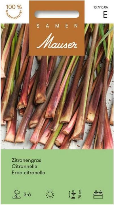 Produktbild Samen Mauser Zitronengras (Kräutersamen)