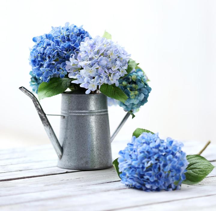 Produktbild Viana Deko Giesskanne für Pflanzen und Blumen 1,7L