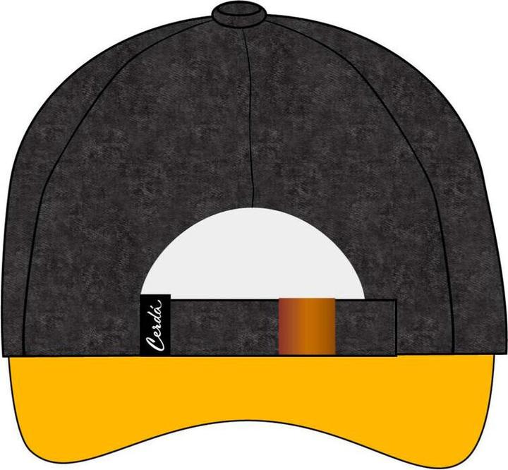 Produktbild Cerdá Harry Potter Hufflepuff cap (58)
