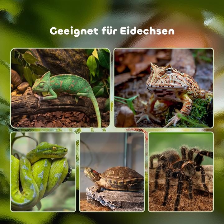 Immagine prodotto PawHut Terrario