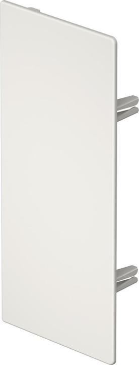 OBO Bettermann OBO Pezzo finale WDK/HE bianco puro