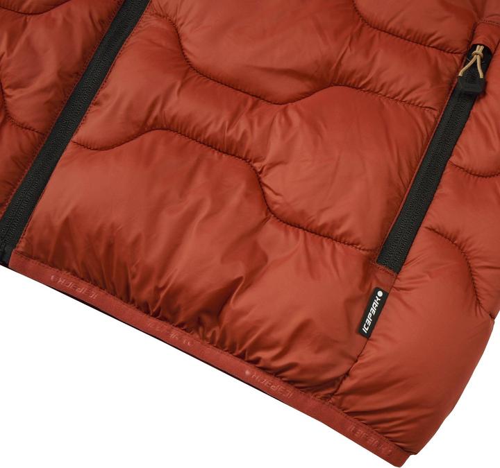Actual product image Icepeak Branch (52)