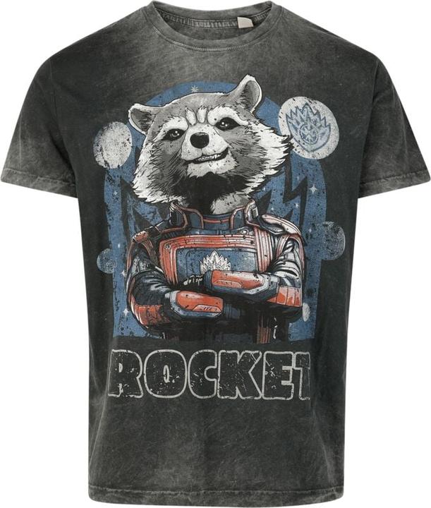 Produktbild Guardians of the Galaxy Rocket (L)