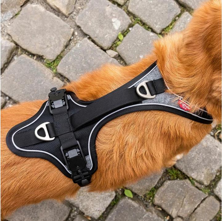 Produktbild Curli Geschirr Magnetic Belka Comfort (XS, Hund, Allgemein)