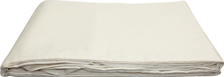 Immagine prodotto Zizzz Foglio fisso (160x200 cm)