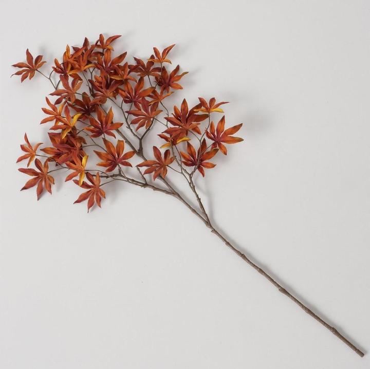 Actual product image Boltze Home Ahorn (4 cm)