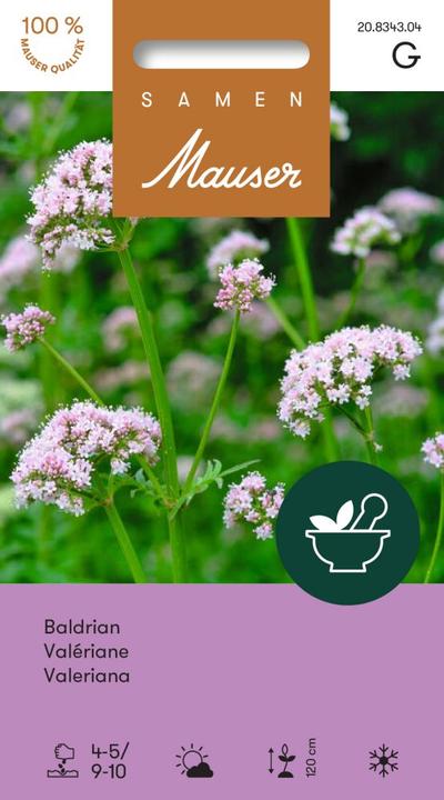 Produktbild Samen Mauser Baldrian (Kräutersamen)