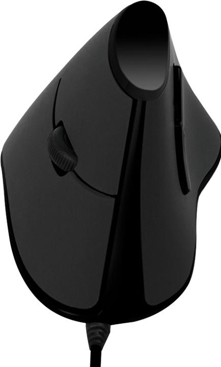 Actual product image LogiLink ID0158 (Cable)