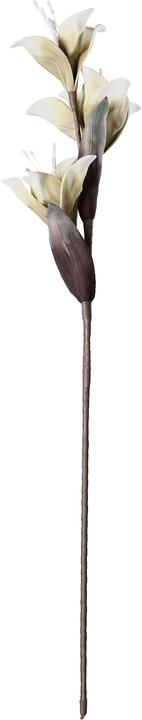 Actual product image EGLO LIVING Molave (85 cm)