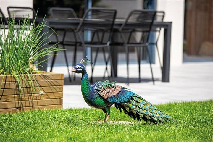 Produktbild Nenurodyta Garden decoration "Peacock", 94 cm x 28 cm x 52 cm