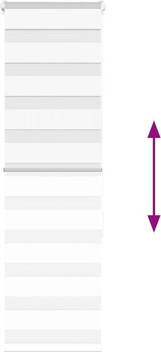 Produktbild vidaXL Zebra-Jalousie (40 x 150 cm)