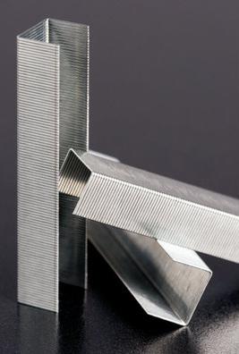 Immagine prodotto Rapid Standard (1000 x)