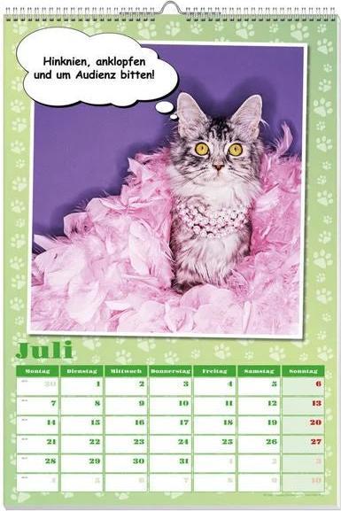 Produktbild Coole Katzen Posterkalender 2025