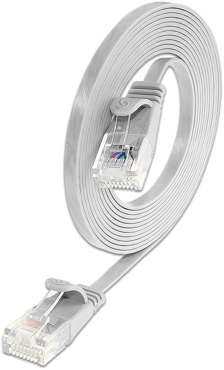 Actual product image Lightwin Network cable (UTP, CAT6, 3 m)