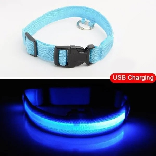 Produktbild Cbx Aufladbares LED-Hundehalsband Grösse XL - 53-57cm (XL, Hund)