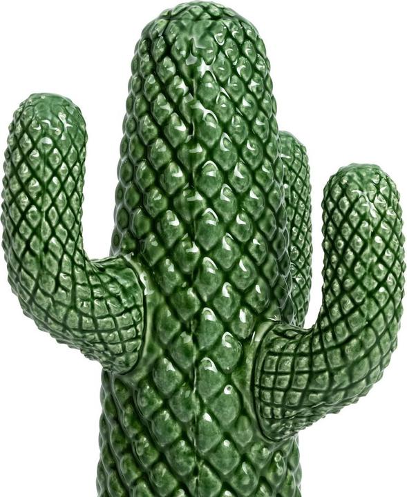 Actual product image pfister Cacto