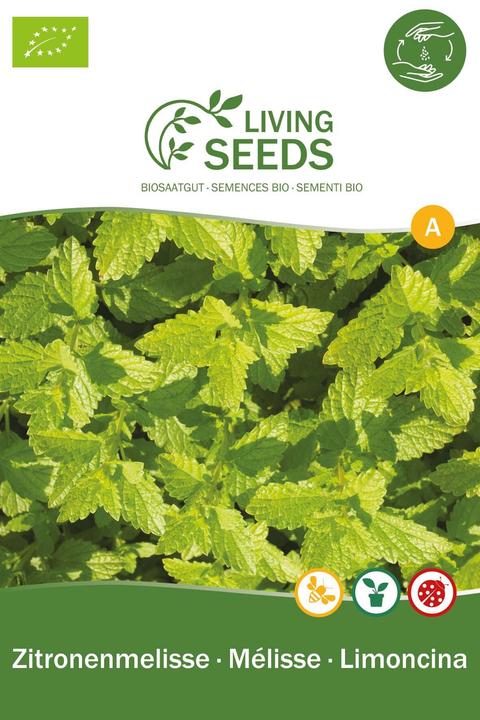 Living Seeds Lemon balm (Plant seeds)
