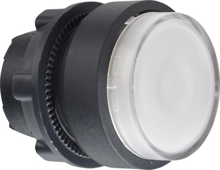 Actual product image Schneider Electric Pushbutton, plastic, front, 22mm, ZB5AHCUST08