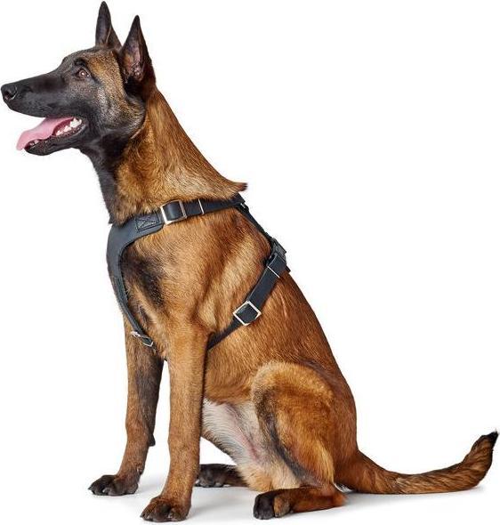 Produktbild Hunter Geschirr Aalborg (2, Hund, Allgemein)