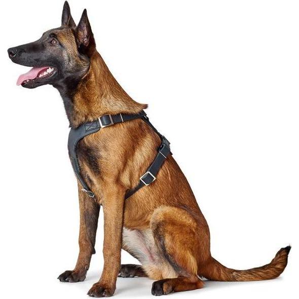 Thumbnail - Hunter Geschirr Aalborg (2, Hund, Allgemein), Halsband + Leine