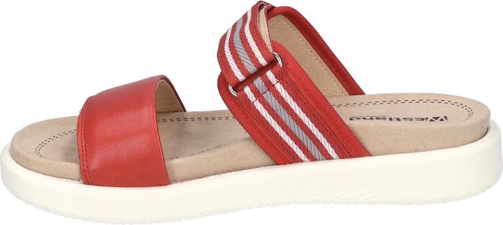 Actual product image Westland 25404-410 (42)