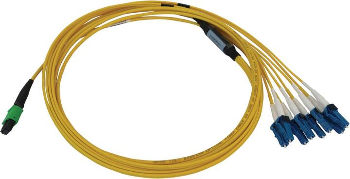 Actual product image Eaton 400G Singlemode 9/125 OS2 Switchable Fibre Optic Cable 12F MTP/MPO-APC to 4x Duplex (3 m)