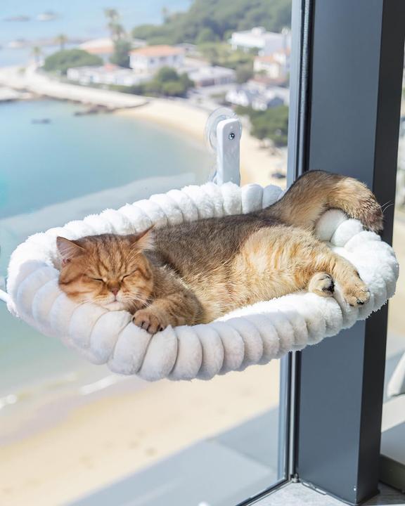 Actual product image Zofory Katzen-Fensterliege (Cat)