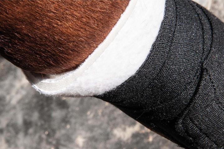 Immagine prodotto TdeT sottofasce posteriori in schiuma per cavalli (2 x)