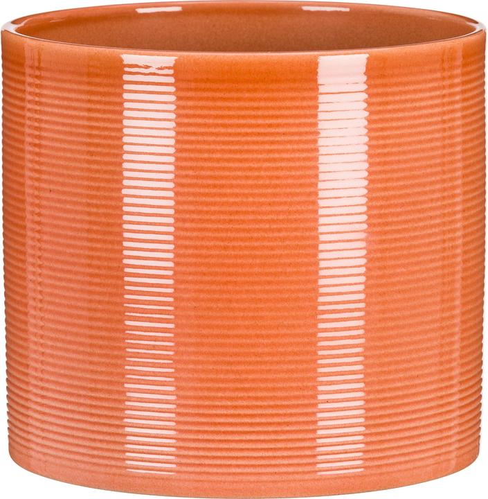 Produktbild Scheurich Papaya (12 x 11 cm)