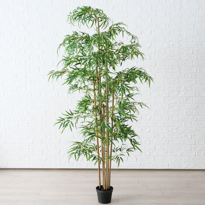 Produktbild Boltze Home Topfpflanze (180 cm)